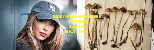 PSILOCYBIN Алексеевка