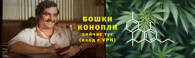 MEGA ONION  Галич  Шишки марихуана White Widow 